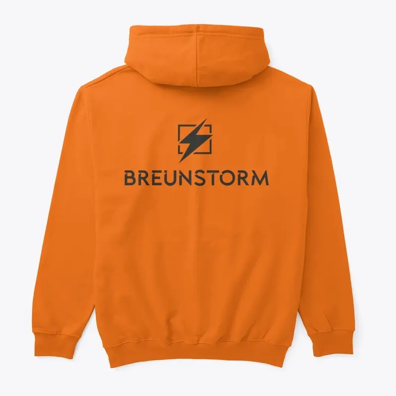 Basic Hoodie 2022